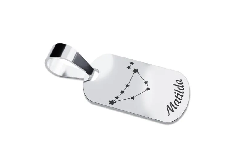 Dog Tag Sternzeichen Steinbock, mittel - echt 925 Silber